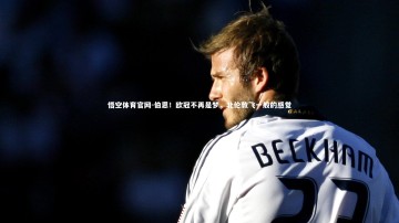 悟空体育官网-伯恩！欧冠不再是梦，北伦敦飞一般的感觉