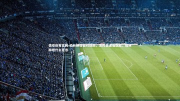 悟空体育官网-柏林赫塔面对劲敌，发挥低迷难取胜，柏林赫塔什么意思