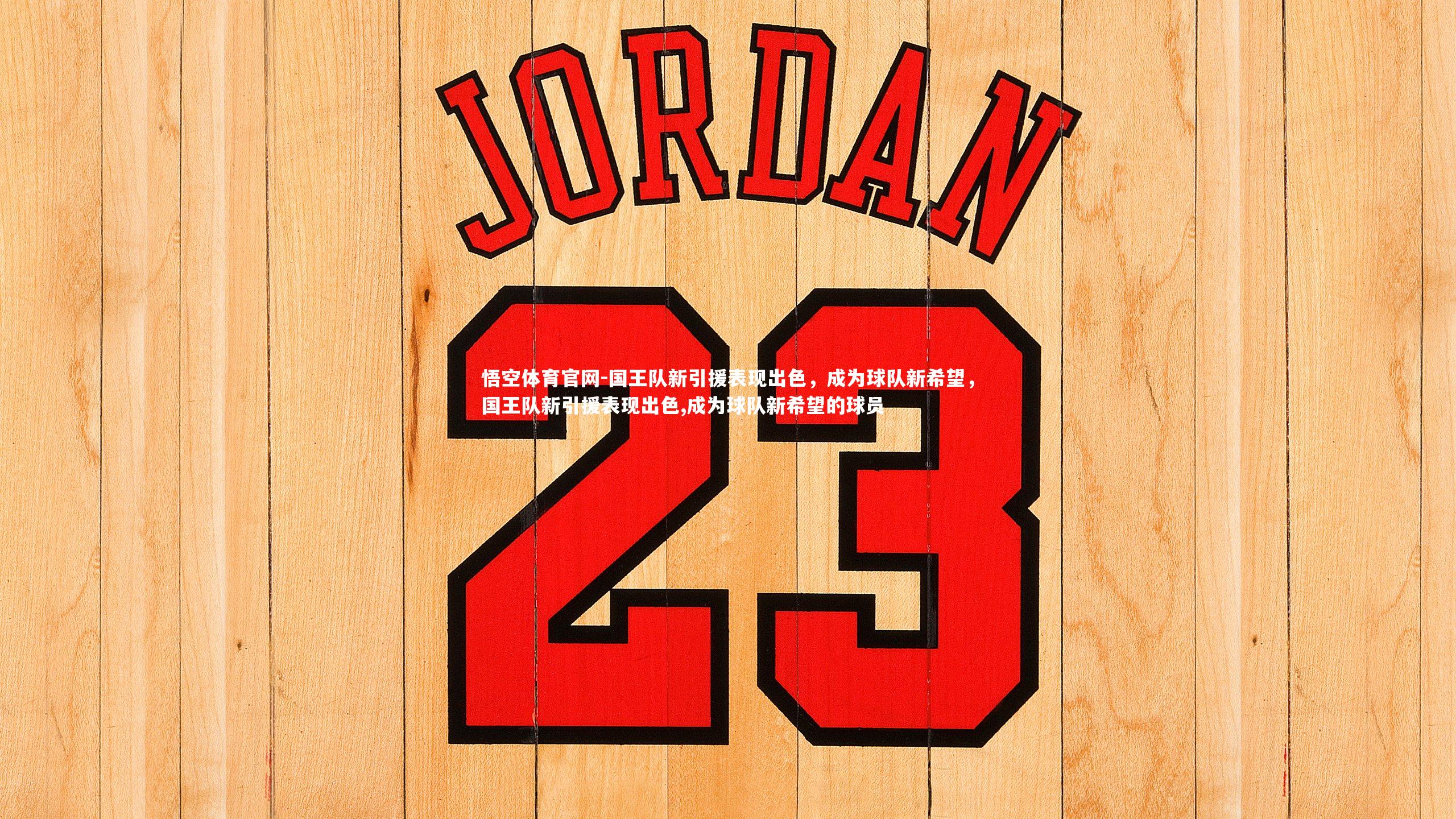 国王队新引援表现出色，成为球队新希望，国王队新引援表现出色,成为球队新希望的球员