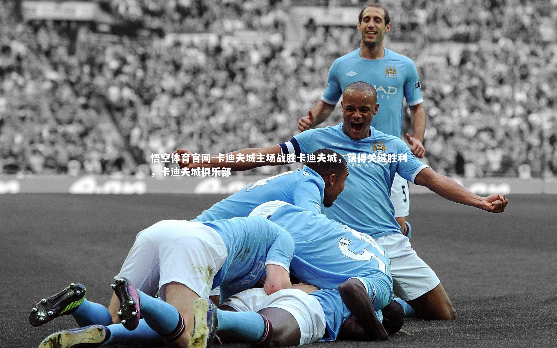 卡迪夫城主场战胜卡迪夫城，获得关键胜利，卡迪夫城俱乐部
